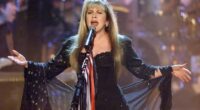 stevie nicks net worth