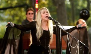 stevie nicks net worth

