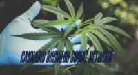 Cannabis Business Social Network