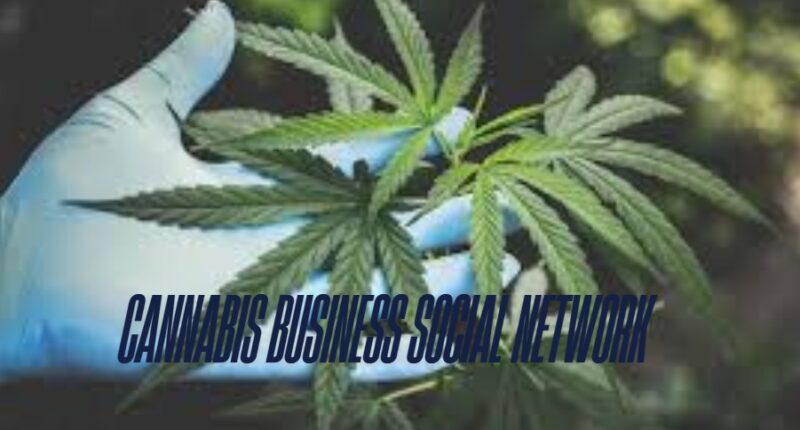 Cannabis Business Social Network